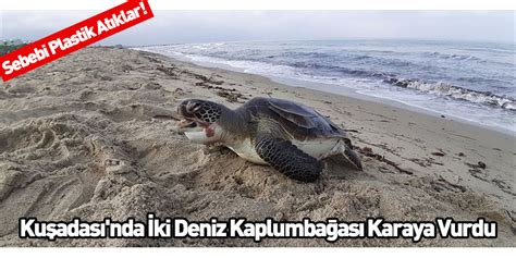 K­u­ş­a­d­a­s­ı­­n­d­a­ ­İ­k­i­ ­D­e­n­i­z­ ­K­a­p­l­u­m­b­a­ğ­a­s­ı­ ­K­a­r­a­y­a­ ­V­u­r­d­u­